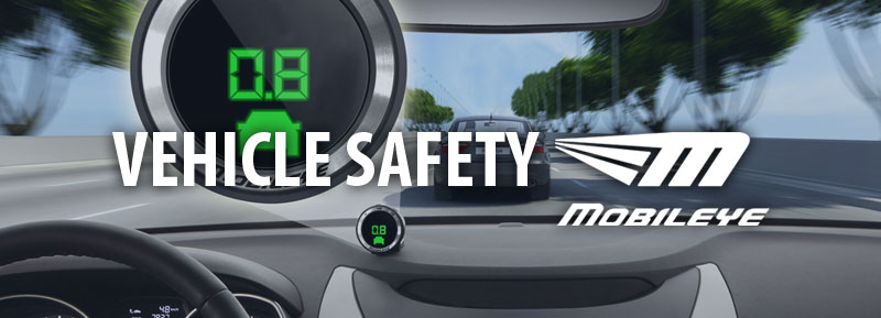 Vehicle Safety